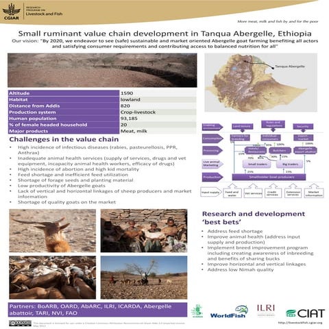 Small ruminant value chain development in Tanqua Abergelle, Ethiopia