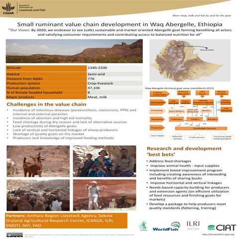 Small ruminant value chain development in Waq Abergelle, Ethiopia