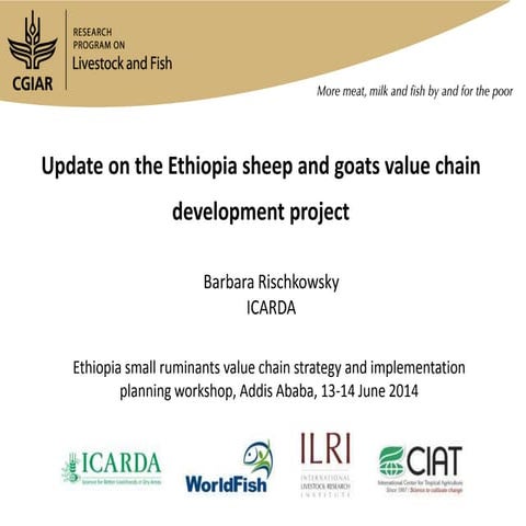 Update on the Ethiopia sheep and goats value chain development project