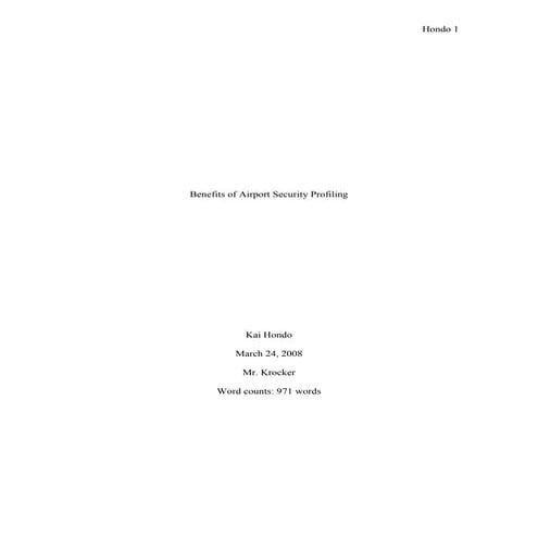 Ethnic airport security essay 