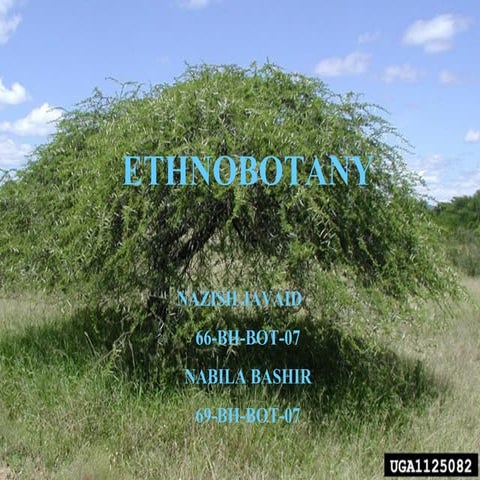 Introduction to Ethnobotany