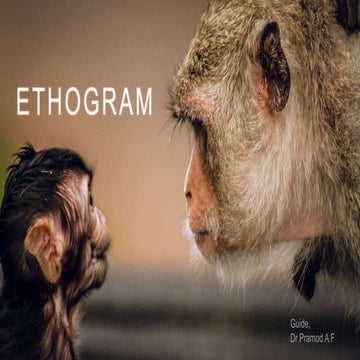 Ethogram_PPT.pptx