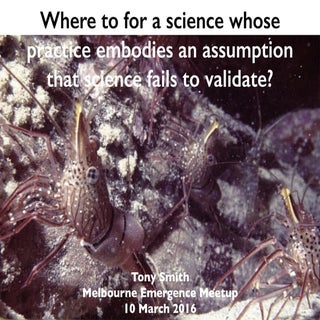 Ethology's Anthropocentric Misassum...