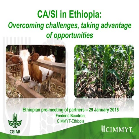 Conservation Agriculture and Sustainable Intensification in SSA: overcoming c...