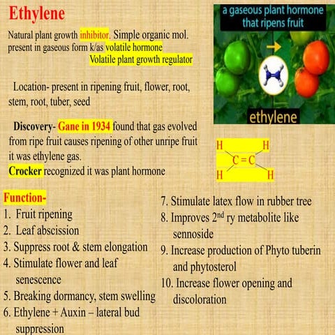 Ethylene. Gaseous plant growth inhibitor
