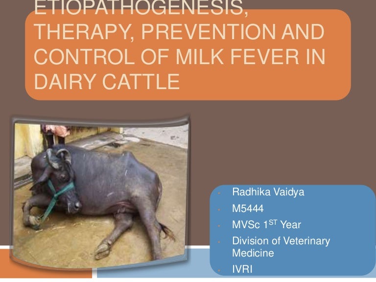 Etiopathogenesis, therapy, prevention and control of milk fever in da…