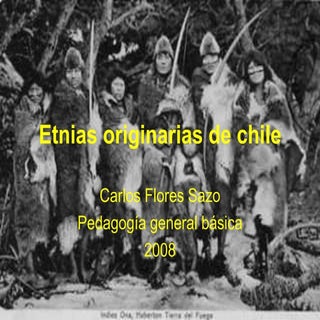 Etnias originarias-de-chile-1224038...