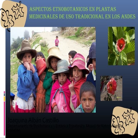Etnobotanica plantas medicinales junio 2013