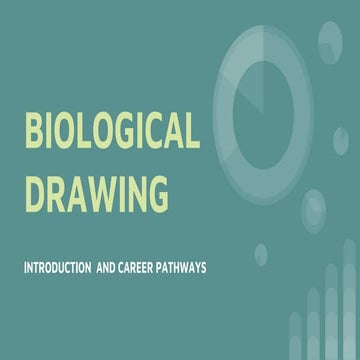 Bio drawing intro & careers | PPTX