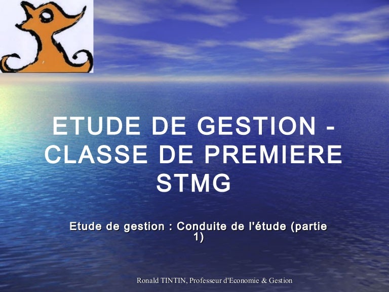 etude de gestion bac stmg conduite de letude partie  sur wwwsu