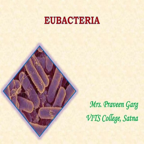 Eubacteria