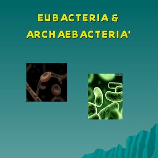 Eubacteria & archaebacteria