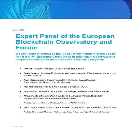 Expert Panel of the European Blockchain Observatory and Forum
