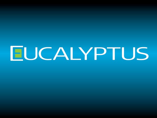 1st Eucalyptus Bay Area Meet Up