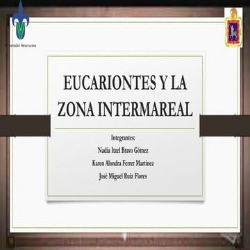 Eucariontes y la zona intermareal