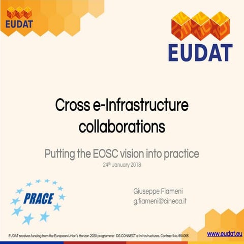 Cross e-Infrastructure collaborations