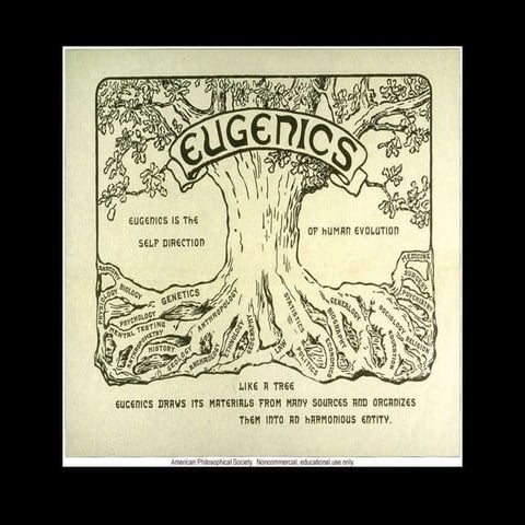 Adrians Eugenics ppt