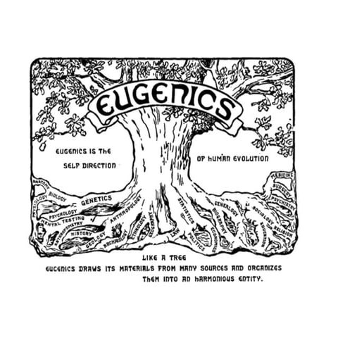 Evolution,Eugenics Nazis and Racism