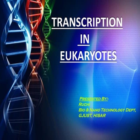 Transcription in Eukaryotes