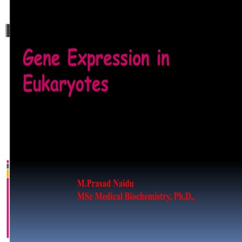 Gene Expression in Eukaryotes