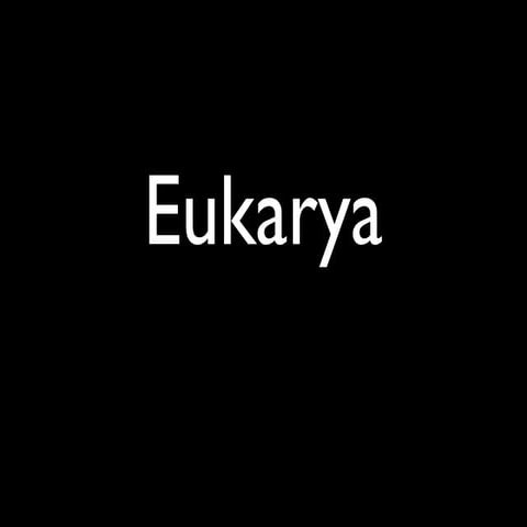 Dominio Eukarya | PPT