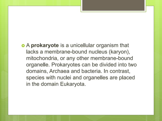 eukaryote and prokaryote.pptx