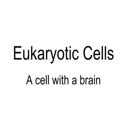 Eukaryotes