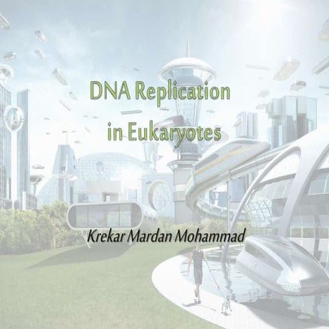 Eukaryotes replication