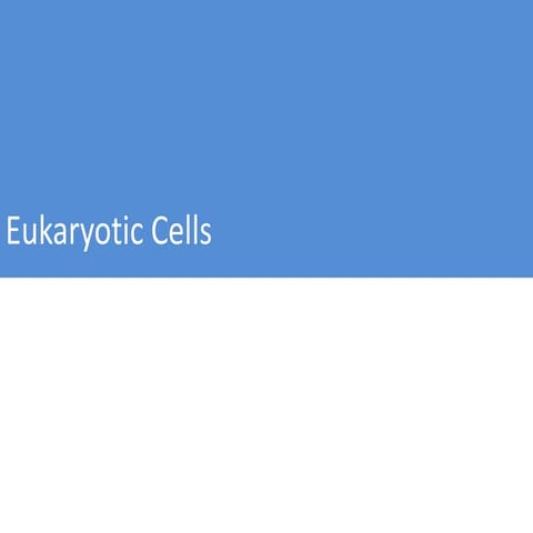 Eukaryotic and Prokaryotic cells