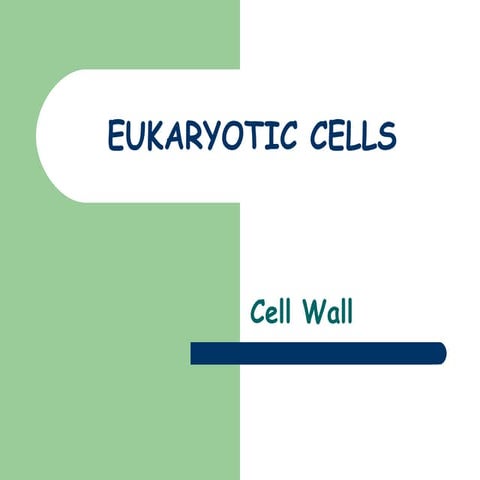 Eukaryotic Cells
