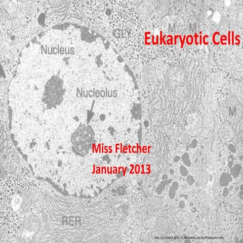 Eukaryotic cells