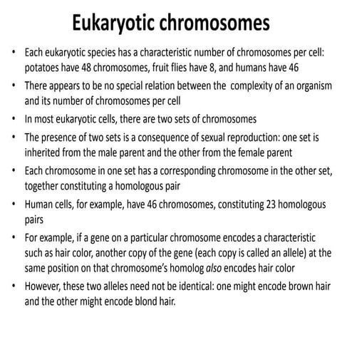 Eukaryotic Chromosomes Pdf