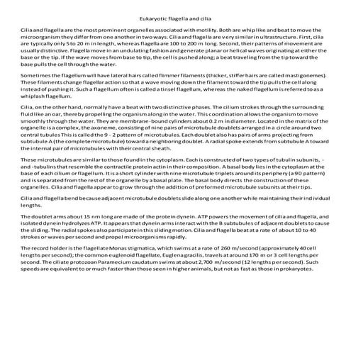 Eukaryotic flagella and cilia