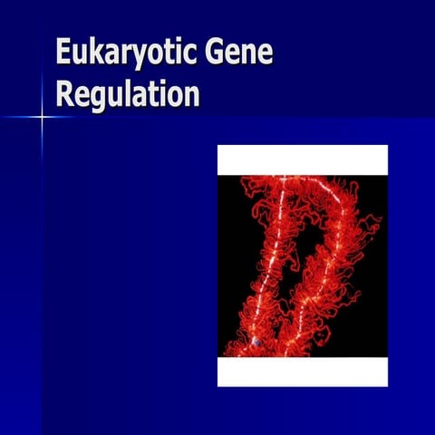 Eukaryotic Gene Regulation