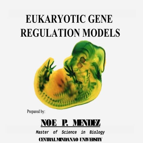 Eukaryotic gene regulation models (by np mendez)