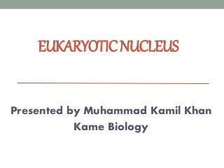 'structure of nucleus' on SlideShare