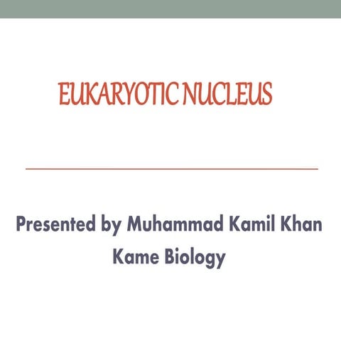 Eukaryotic nucleus