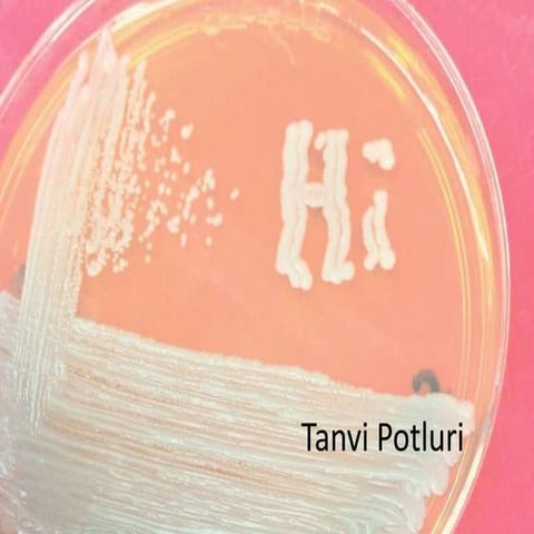 Eukaryotic transcription