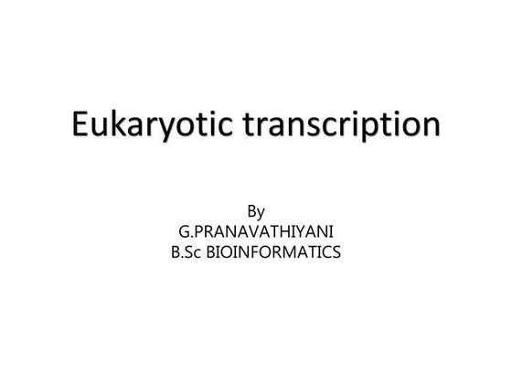 Transcription in prokaryotes and eukaryotes | DOCX | Chemistry | Science