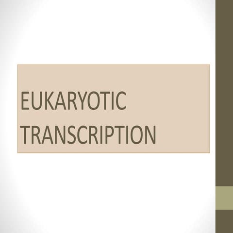 EUKARYOTIC TRANSCRIPTION.pptx