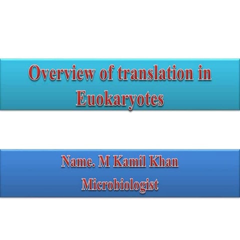 Eukaryotic translation