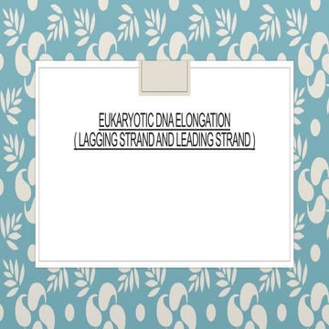 eukaryotik dna elongation.pptx