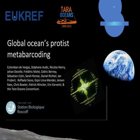 Global ocean’s protist metabarcoding