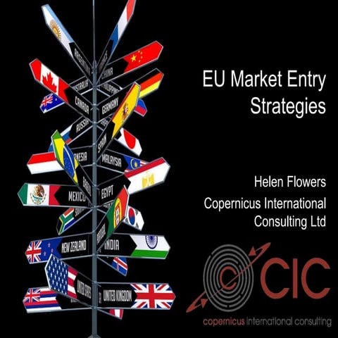 Eu market entry strategic options and support services