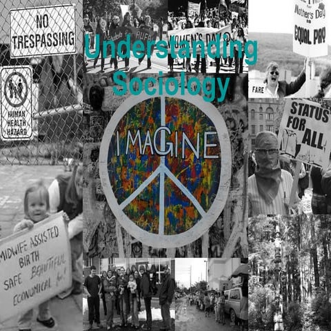 Understanding Sociology