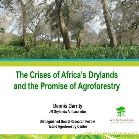 Crisis in Africa's drylands: the promise of agroforestry