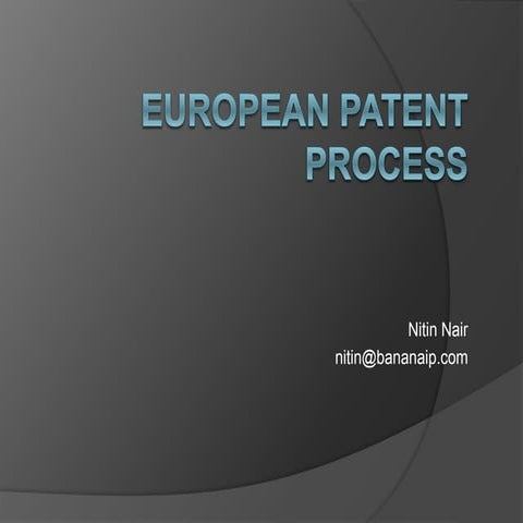 Eu patent process