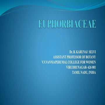 Euphorbiaceae ppt