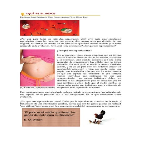 Qué es el sexo