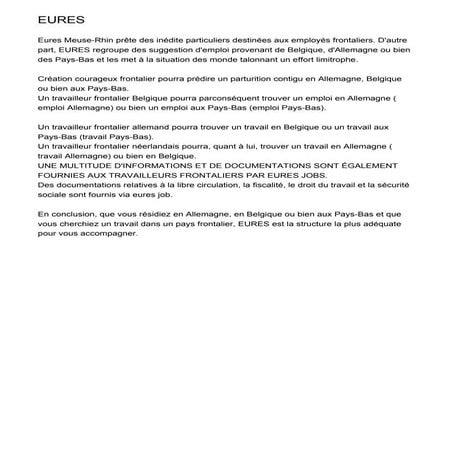 CV Erika | PDF